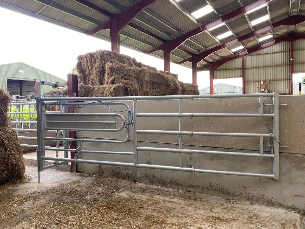 Condon Engineering suckler calfing gate